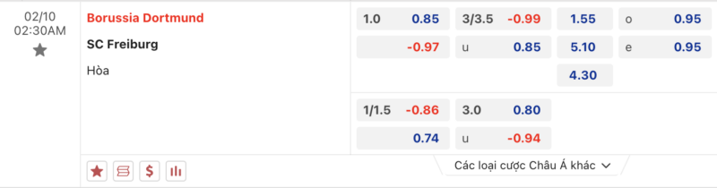 Bảng kèo Dortmund vs Freiburg