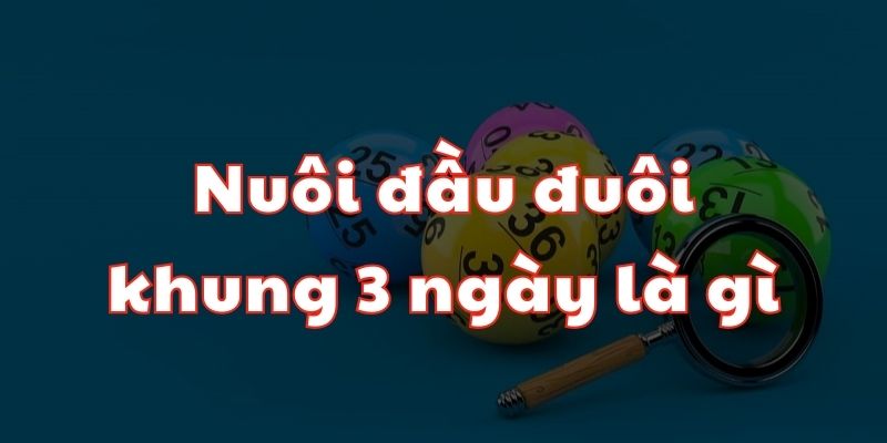 Giải đáp thắc mắc nuôi đầu đuôi khung 3 ngày là gì?